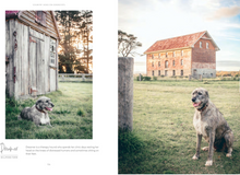 Load image into Gallery viewer, Country Dogs On Doorsteps