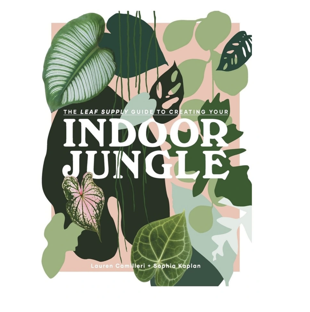 Indoor Jungle : Leaf Supply Guide ...