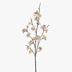 Blossom Cherry Cream/Pink 105cm