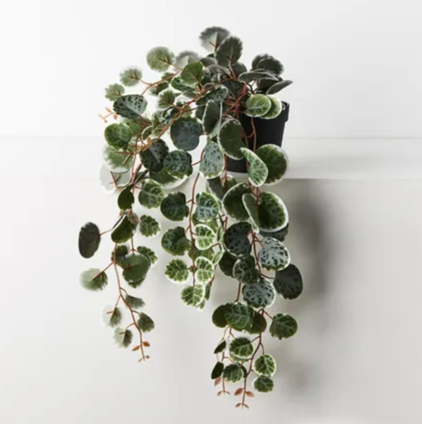 String of Hearts in Pot Green/White 48cm