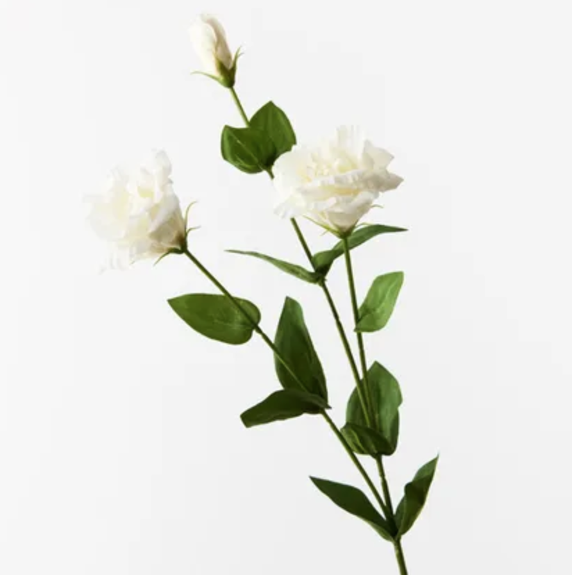 Lisianthus White 72cm