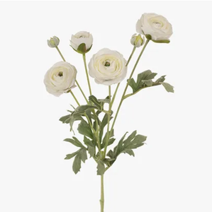 Ranunculus Spray White 67cm