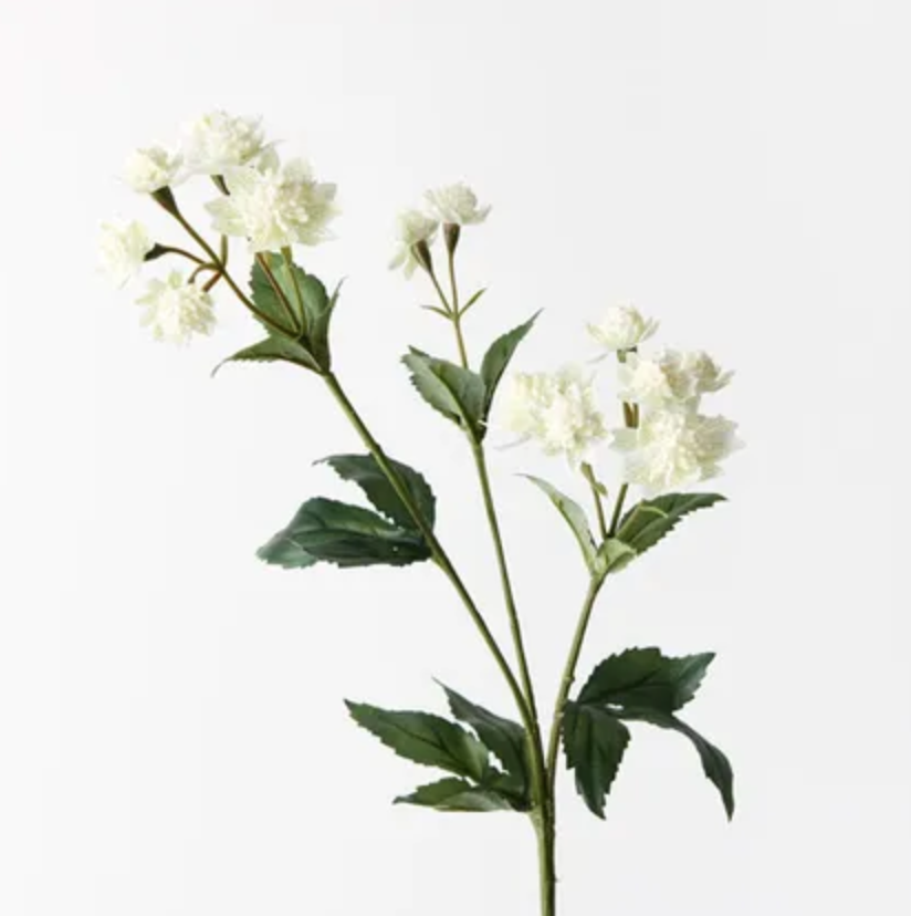 Astrantia Spray White/Green 49cm