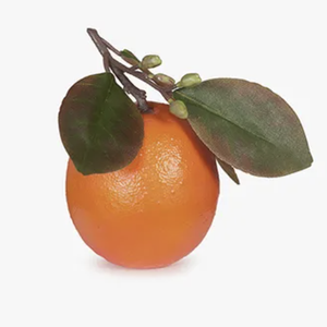 Fruit Orange