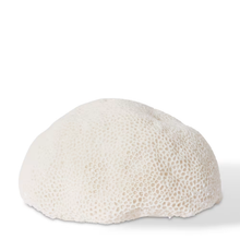 Load image into Gallery viewer, Coral Lamp Starlet White 35x31x18cm
