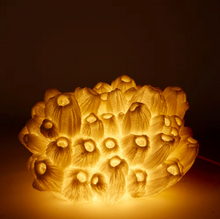 Load image into Gallery viewer, Coral Lamp Sea Lotus White 33x27x20cm
