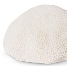 Load image into Gallery viewer, Coral Lamp Starlet White 35x31x18cm
