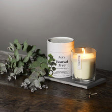 Load image into Gallery viewer, Aery Botanical Soy Candle - Bonsai Tree
