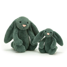 Load image into Gallery viewer, Jellycat Bashful Forest Bunny Small
