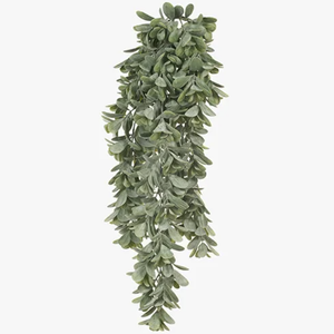 Jade Hanging Bush 71cm - Grey/Green