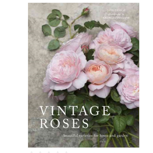 Vintage Roses : Beautiful Varieties For Home