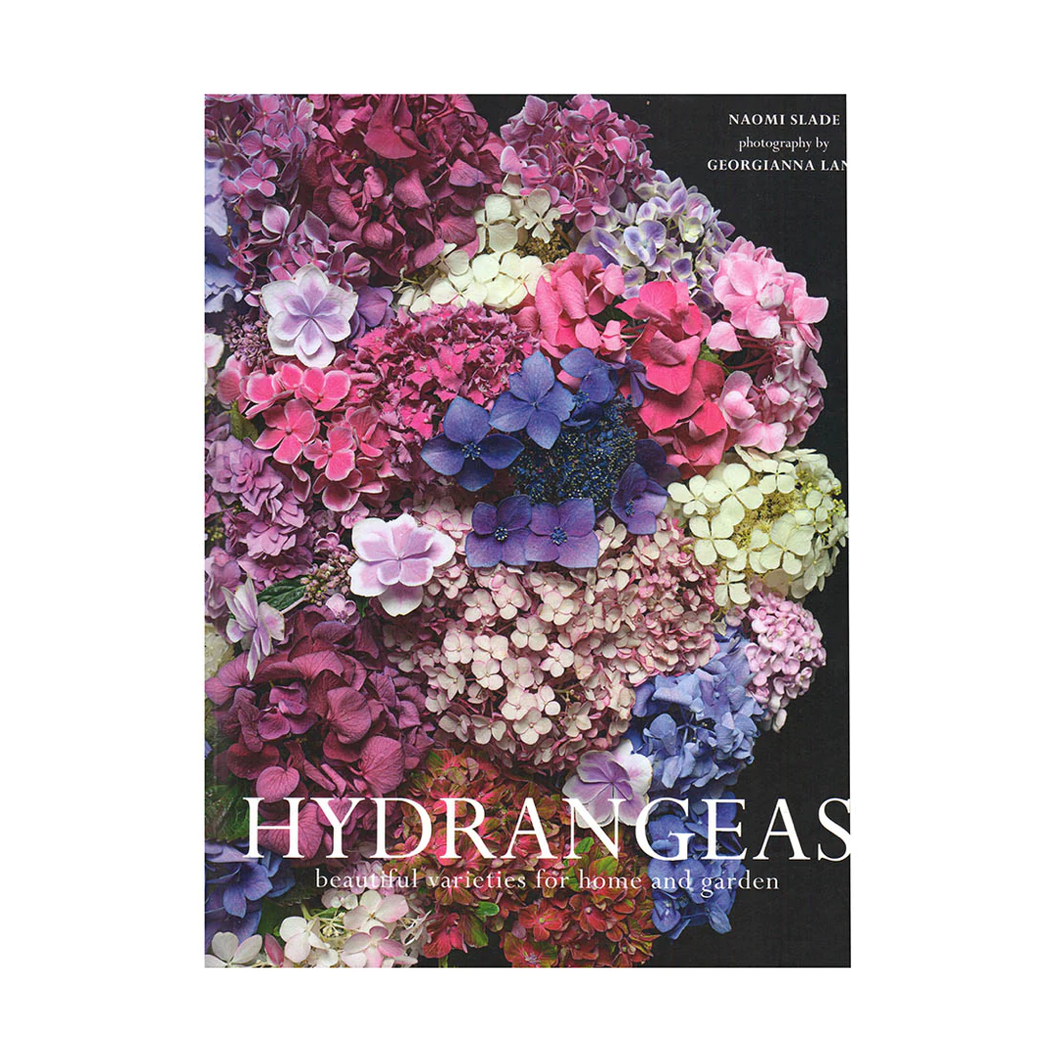 Hydrangeas : Beautiful Varieties For Home And Garden