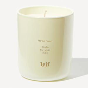 Flannel Flower Candle 280g