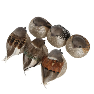 Puffer Boxed Set of Six Clip on Birds Brown