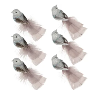 Lilla Sparkle Boxed Set of Six Clip on Bird Silver