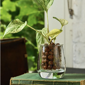 'The Compact' Mini Self-Watering Glass Pot