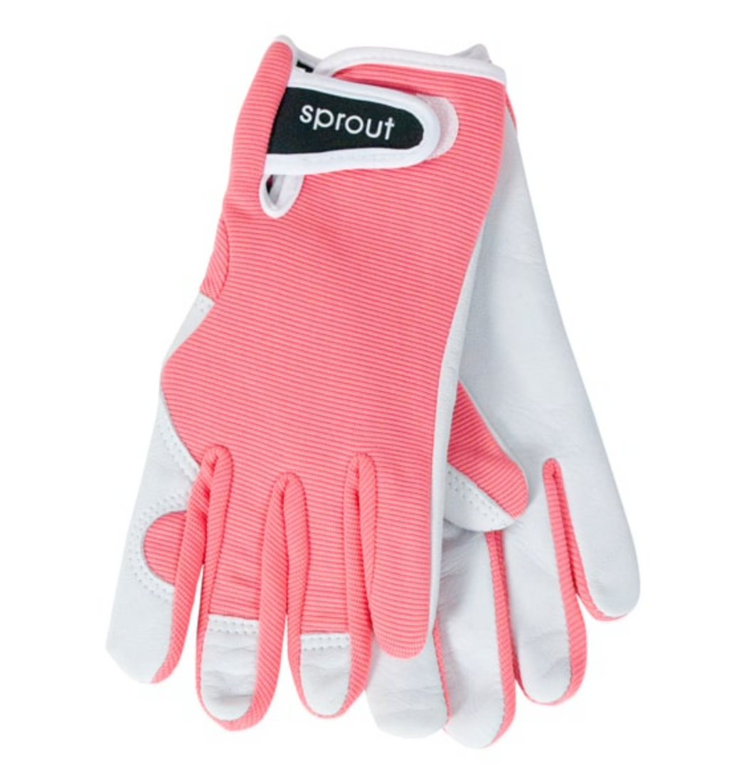 Sprout Goatskin Gloves - Coral
