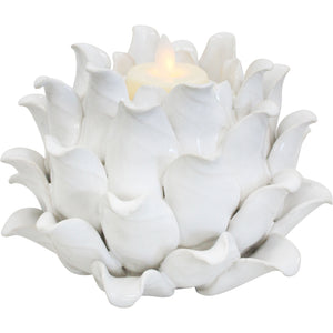 Echeveria Tealight Ivory