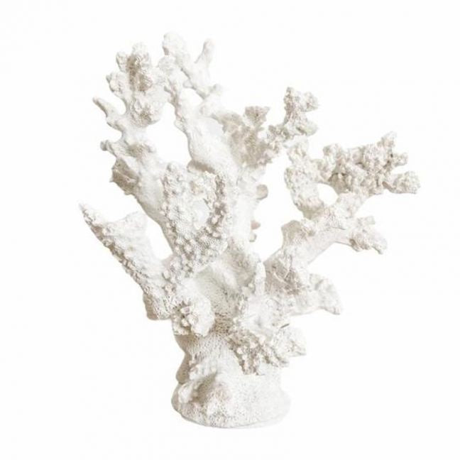 20x17cm Poly White Anemone Coral